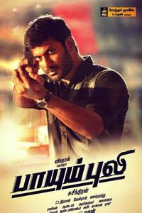 Paayum Puli