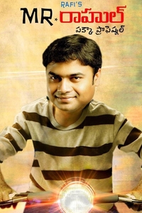 Mr. Rahul Pakka Professional