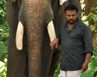 Kumki 2