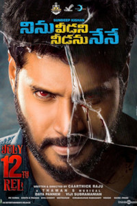 Ninnu Veedani Needanu Nene