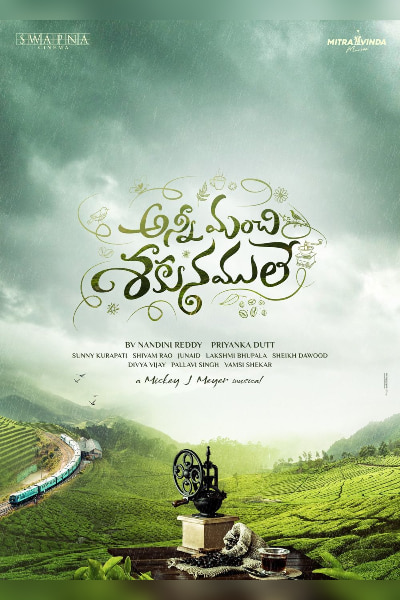  Anni Manchi Sakunamule