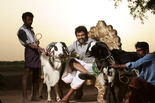 Komban Tamil Movie Stills | Karthi