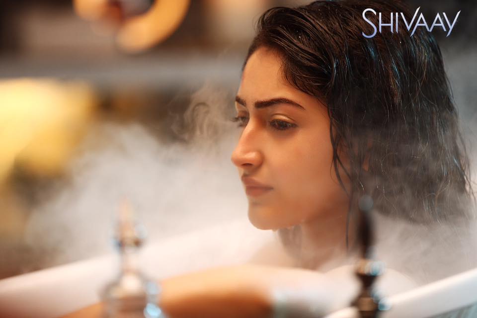 Sayyeshaa Saigal Stills From shivaay