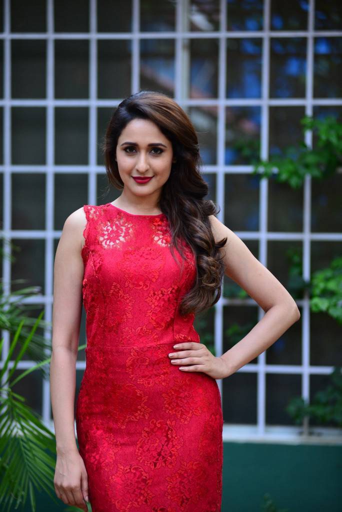 Actress Pragya Jaiswal Stills From Gunturodu Telugu Movie