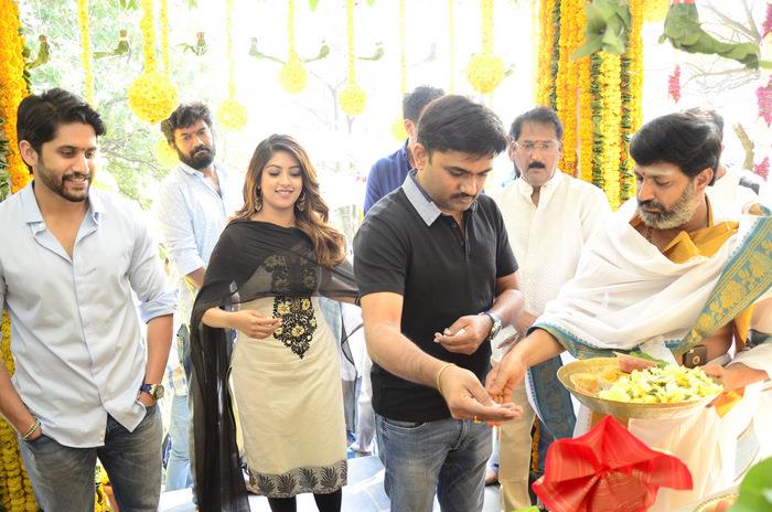 NagaChaitanya New Movie Launch latest stills