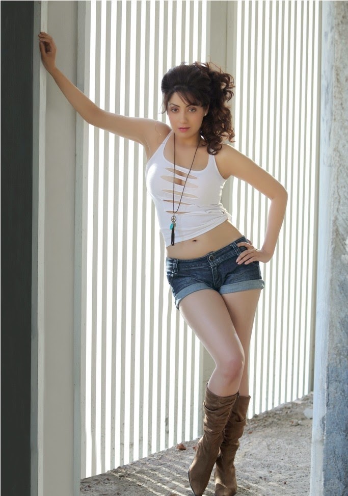 Actress Gurleen Chopra's Latest Photoshoot Stills 2015