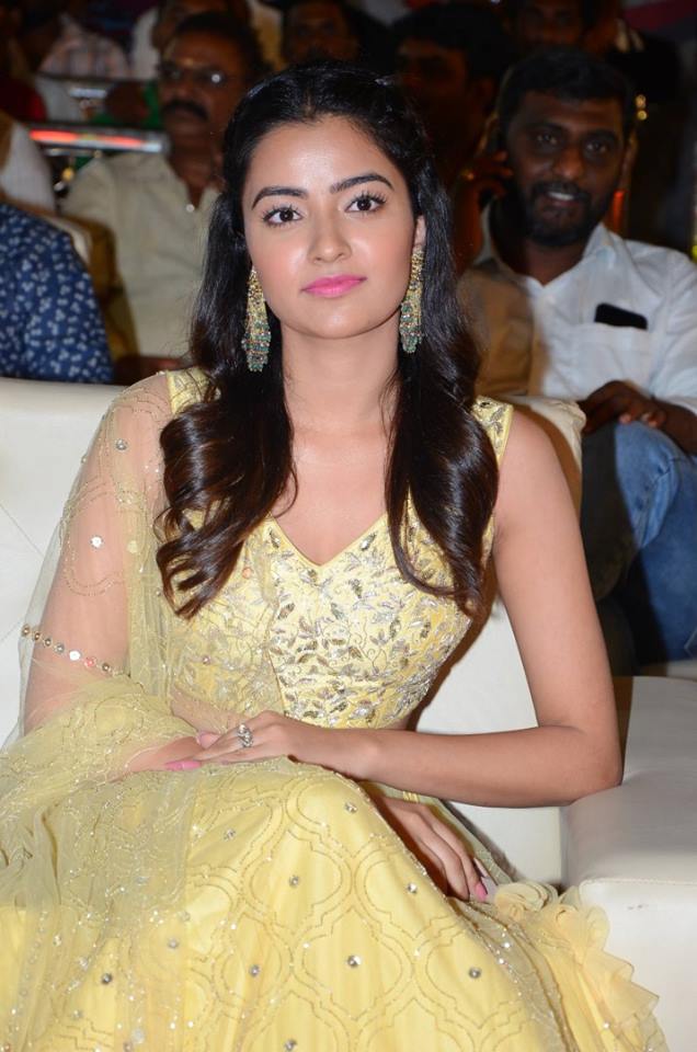Krishnarjuna Yuddham Pre Release Event Photos.