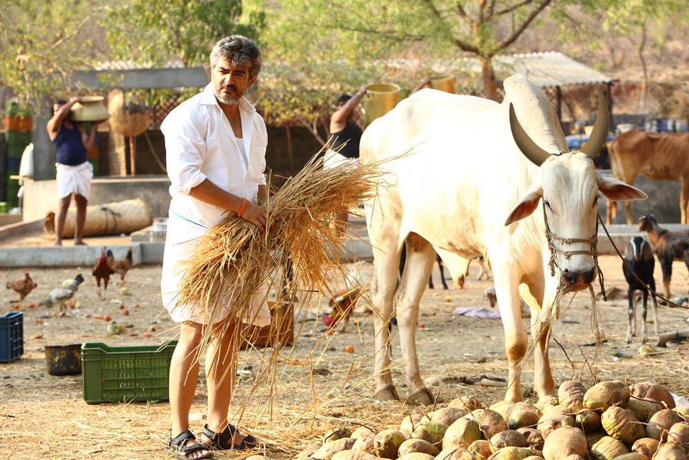 Veeram Tamil Movie Stills | Ajith