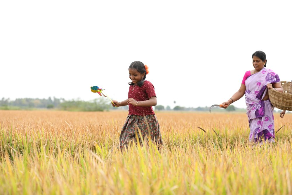 Kanaa Fresh Images
