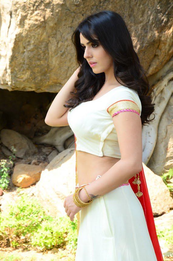 Siddhika Sharma Gorgeous Photos.