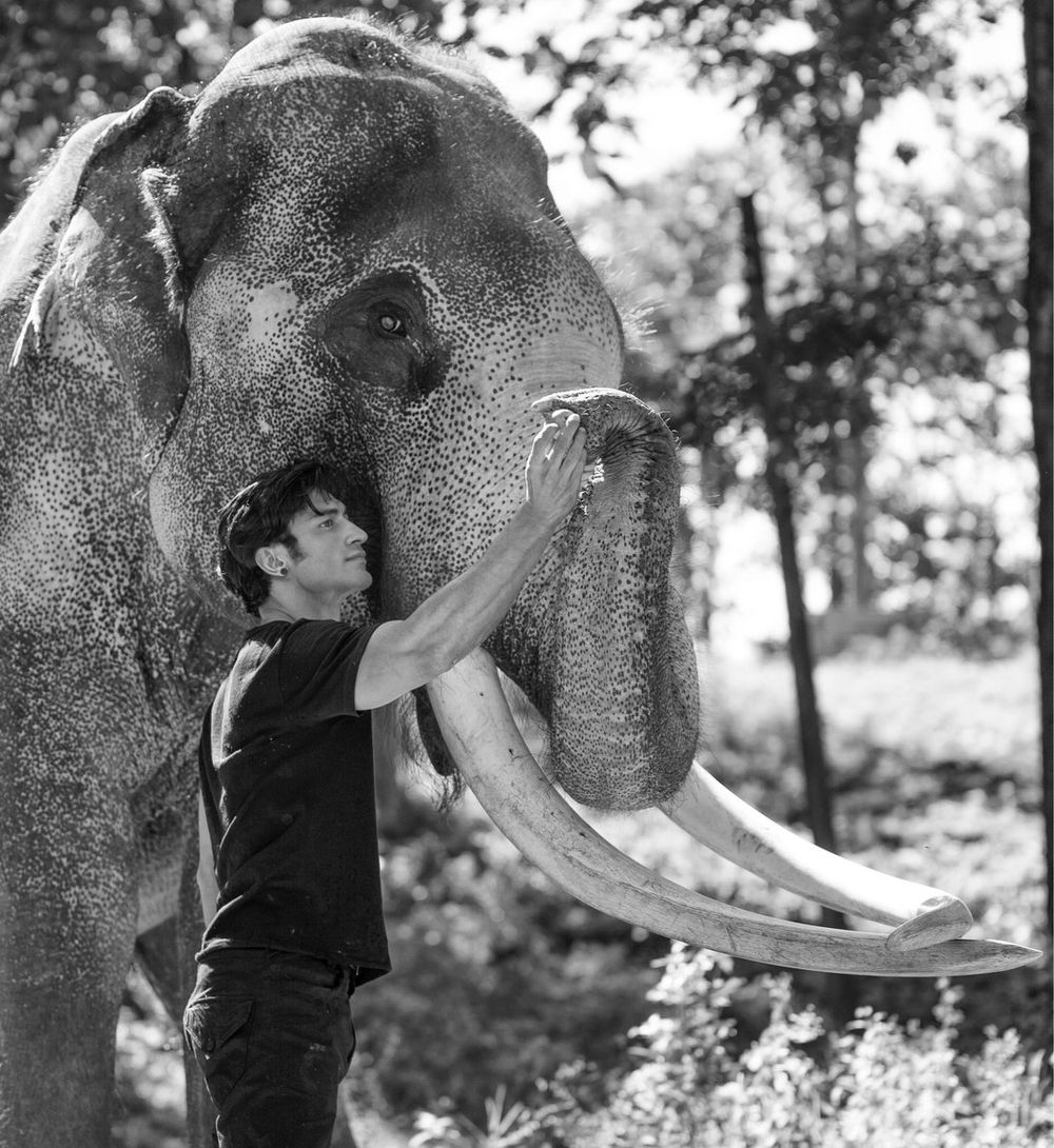 Junglee Fresh Images.