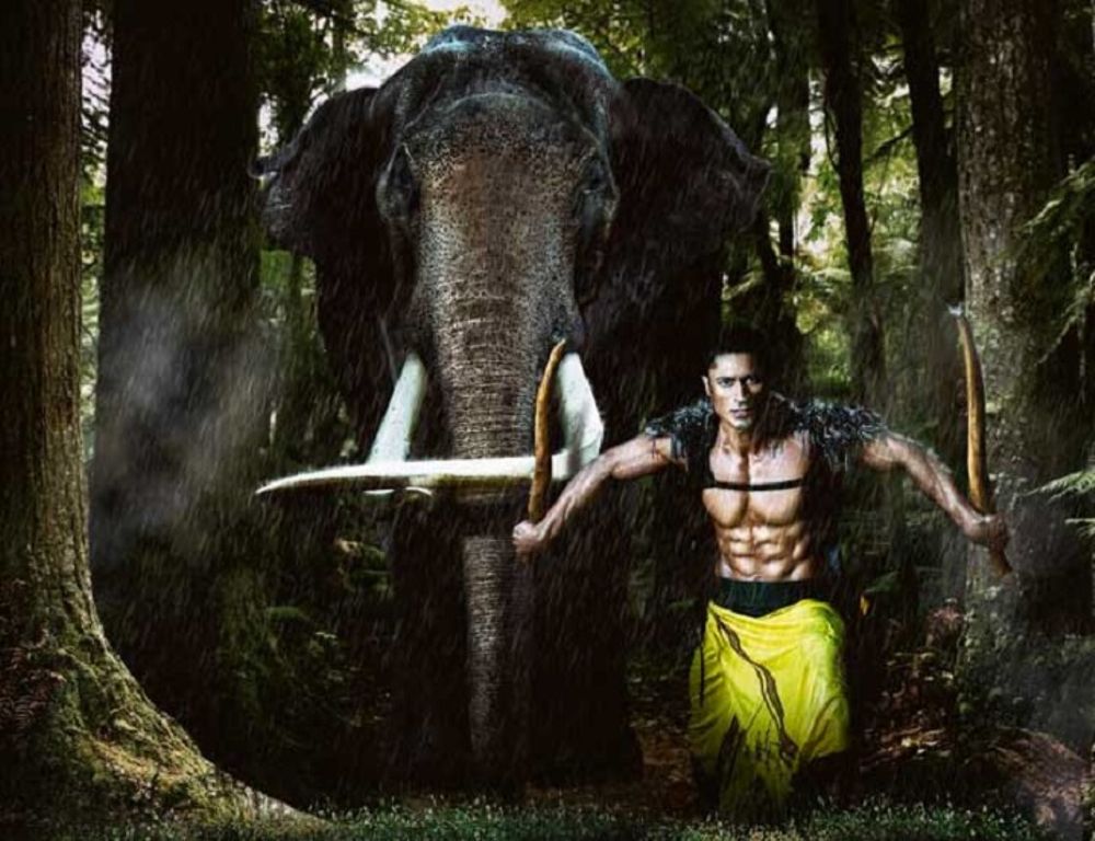 Junglee Fresh Images.
