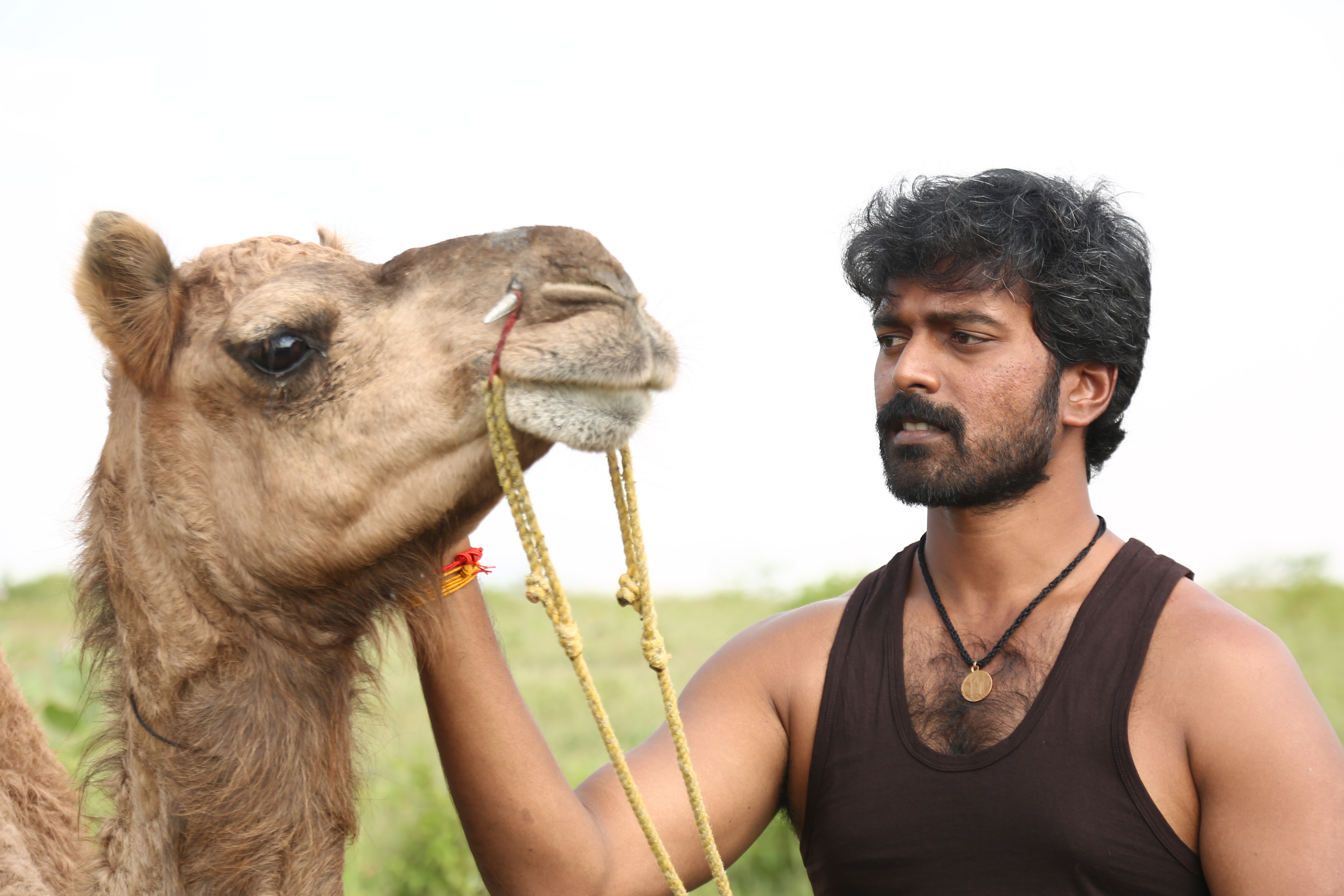 Bakrid Press Meet Stills