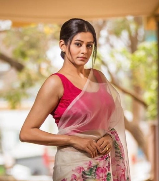 Priyamani Dazzling Stills.