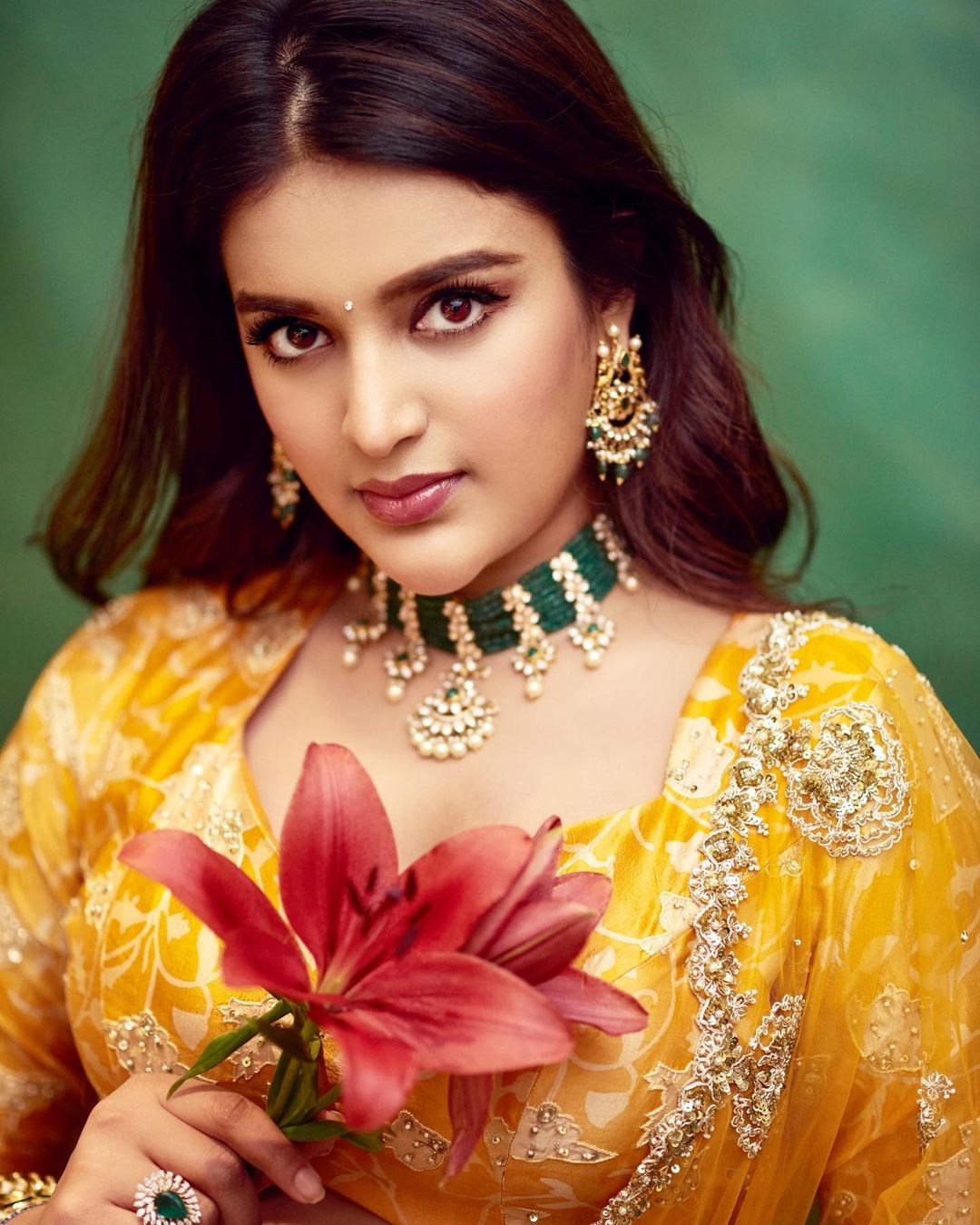 Nidhhi Agerwal Dazzling Pics.