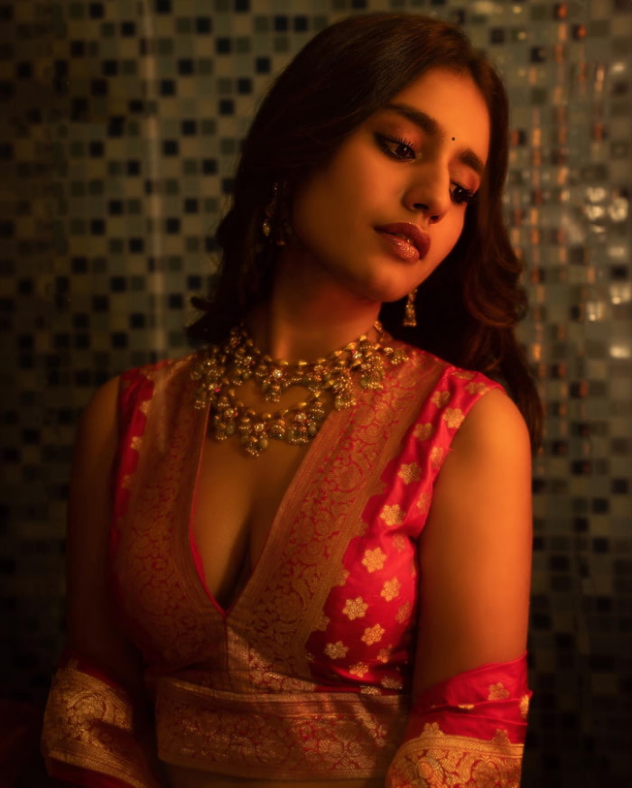 \"Explore the most enchanting stills of Priya Prakash Varrier, the trending celebrity sensation, in this stunning photo collection. Don't miss out on these captivating moments captured on camera. #PriyaPrakashVarrier #CelebrityPortraits #TrendingPhotography\"