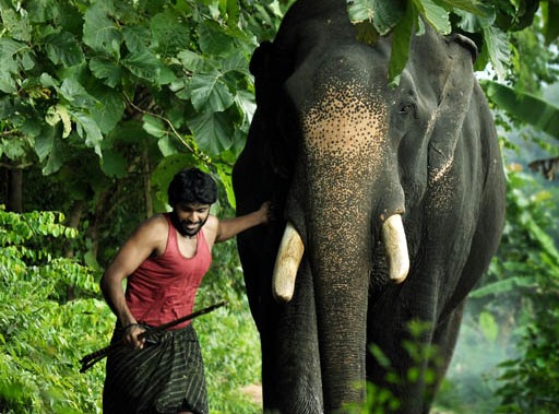 Kumki tamil movie still vikramprabhu