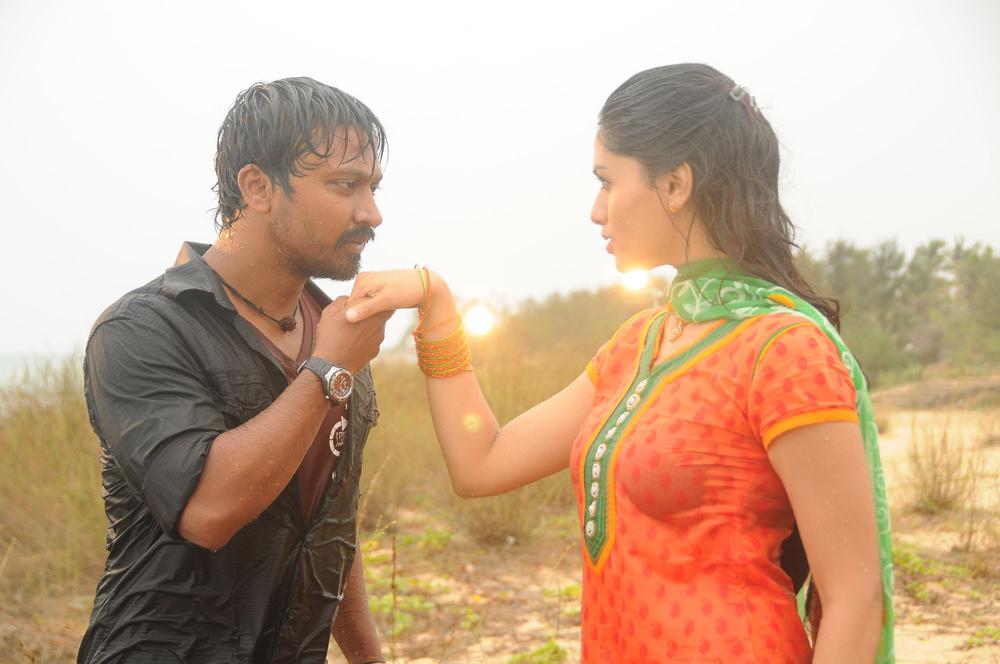 Vanmam Tamil Movie Stiils - Kresha, Sunaina